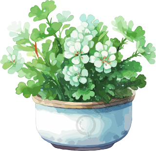 水彩花卉插画设计元素