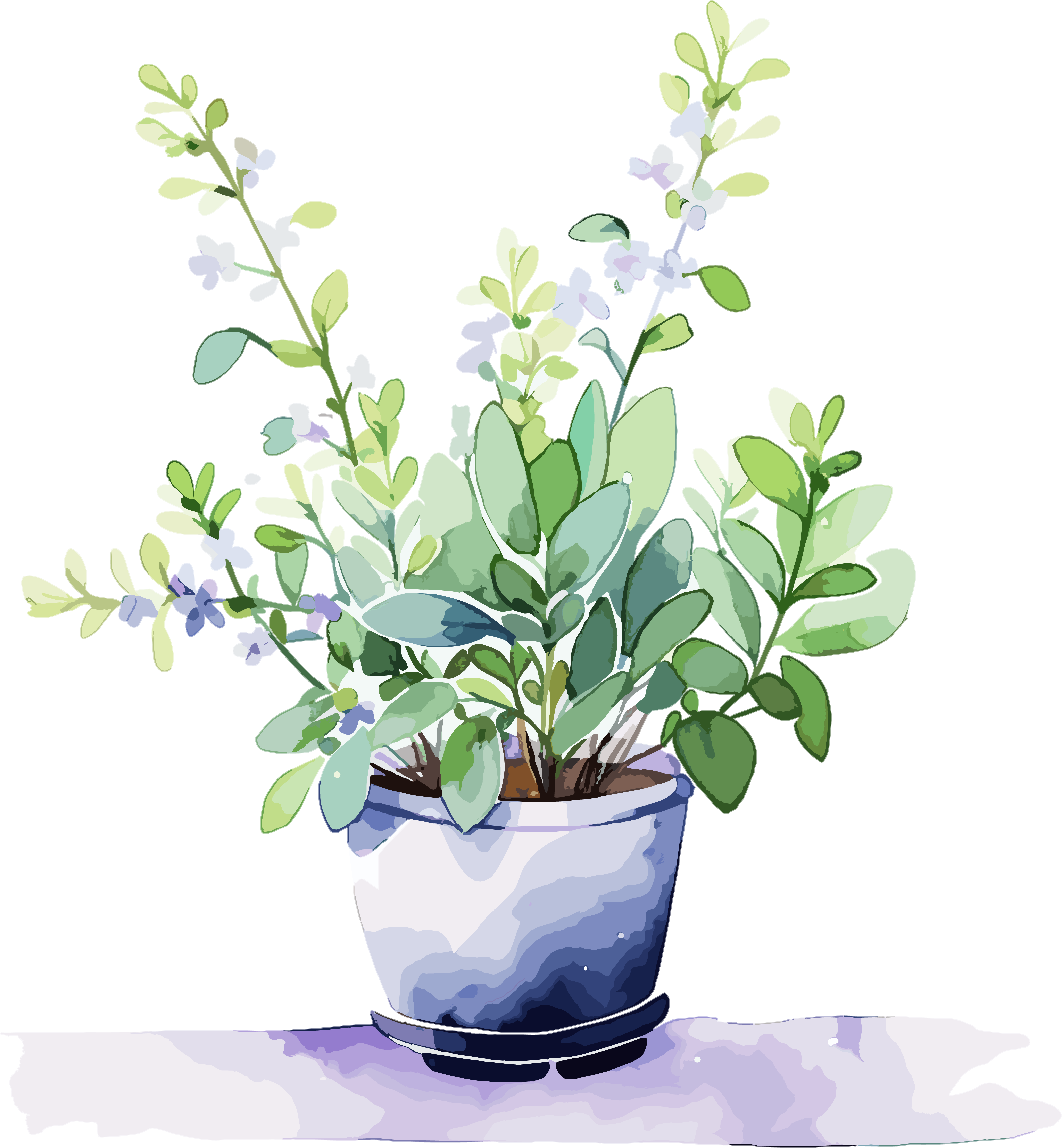 水彩花卉透明背景插画