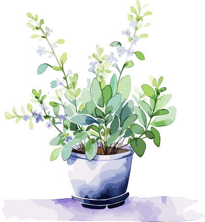 水彩花卉透明背景插画