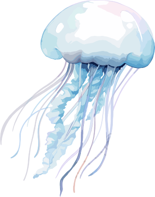 水母高清PNG素材