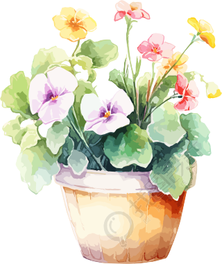水彩花卉绘画图形元素