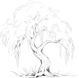 柳树简笔画