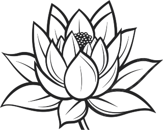 荷花简笔画图片
