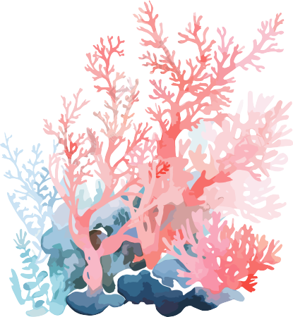 珊瑚手绘插图