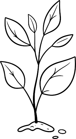 小学生植树简笔画