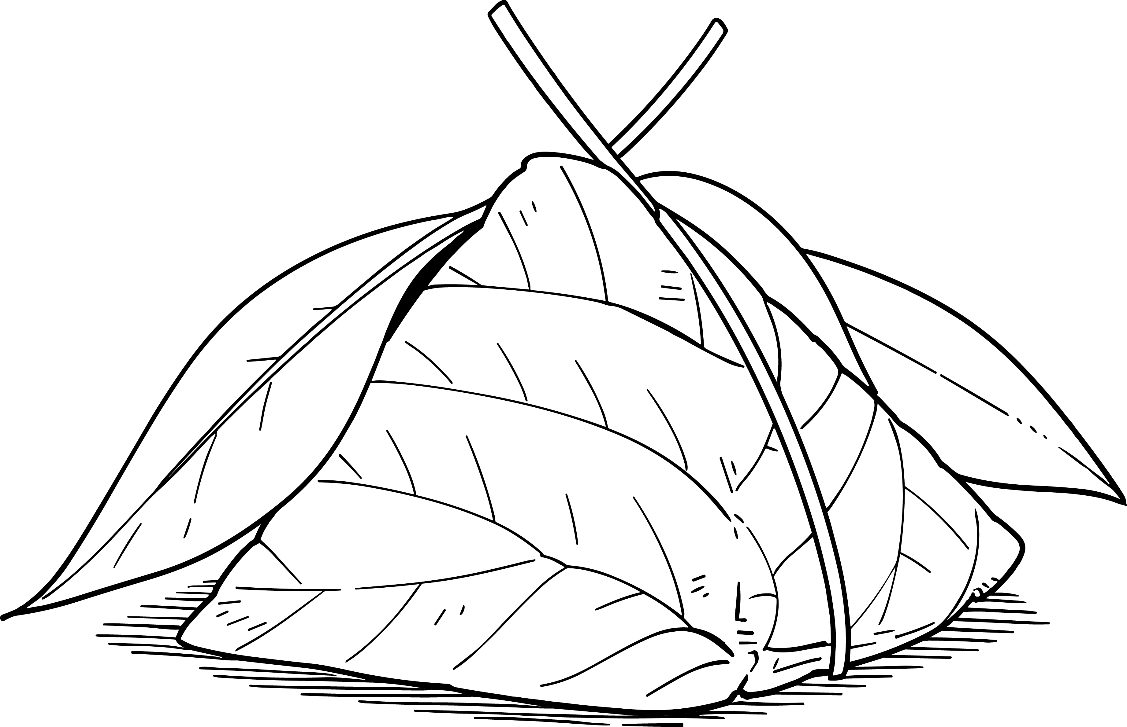 简笔画粽子