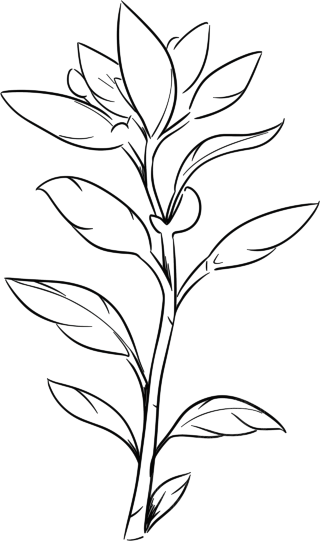 植树节画画作品简笔画
