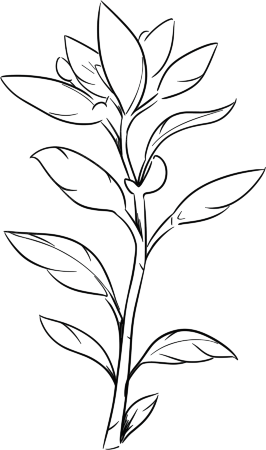 植树节画画作品简笔画