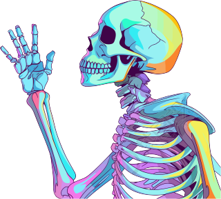 人体骨架插画设计