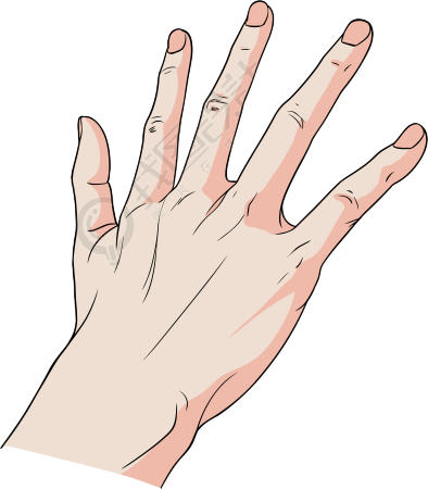 卡通手插画素材