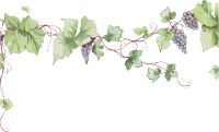 藤蔓边框手绘插画风格素材