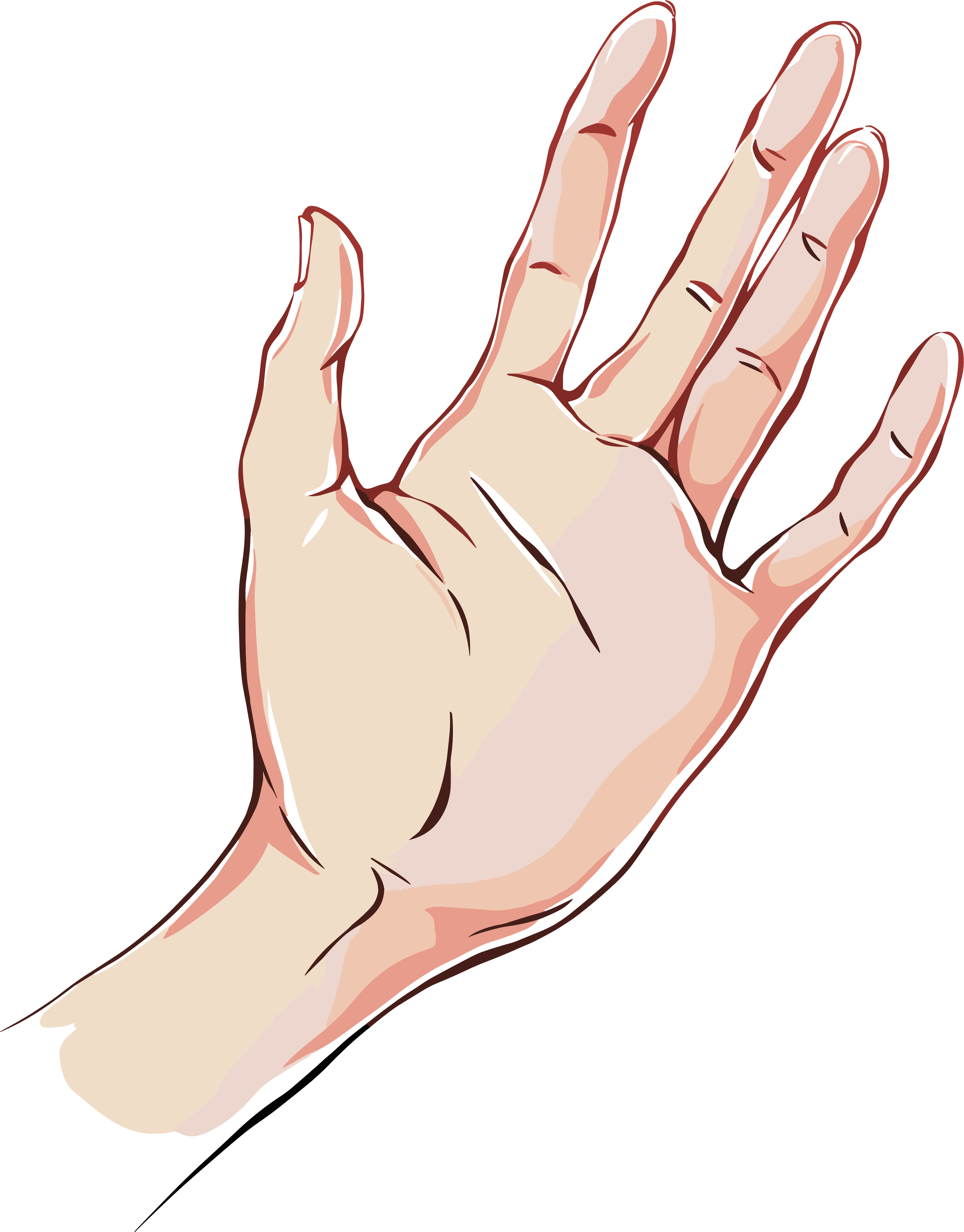 卡通手插画PNG素材