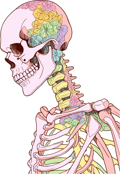 人体骨架高清插画设计素材