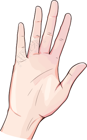 卡通手插图素材