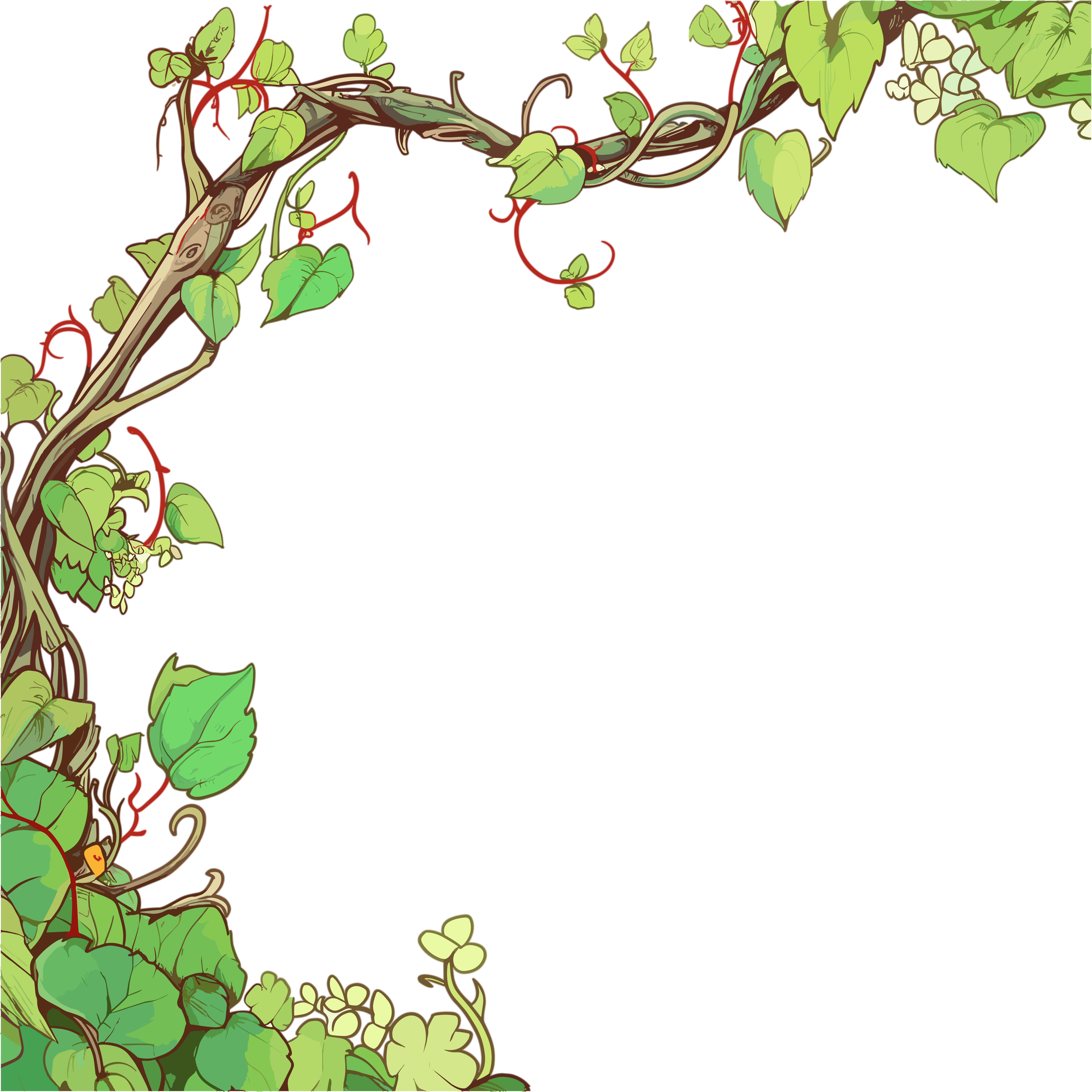 藤蔓边框透明背景插画