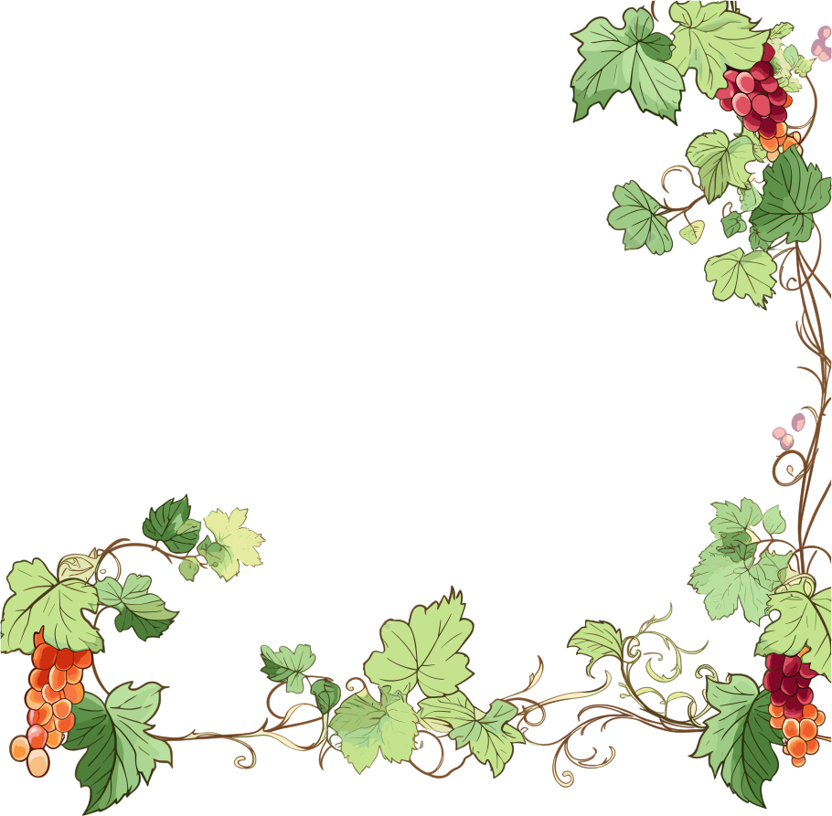 藤蔓边框插画