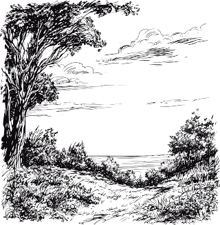 线条风景插画