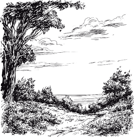 线条风景插画