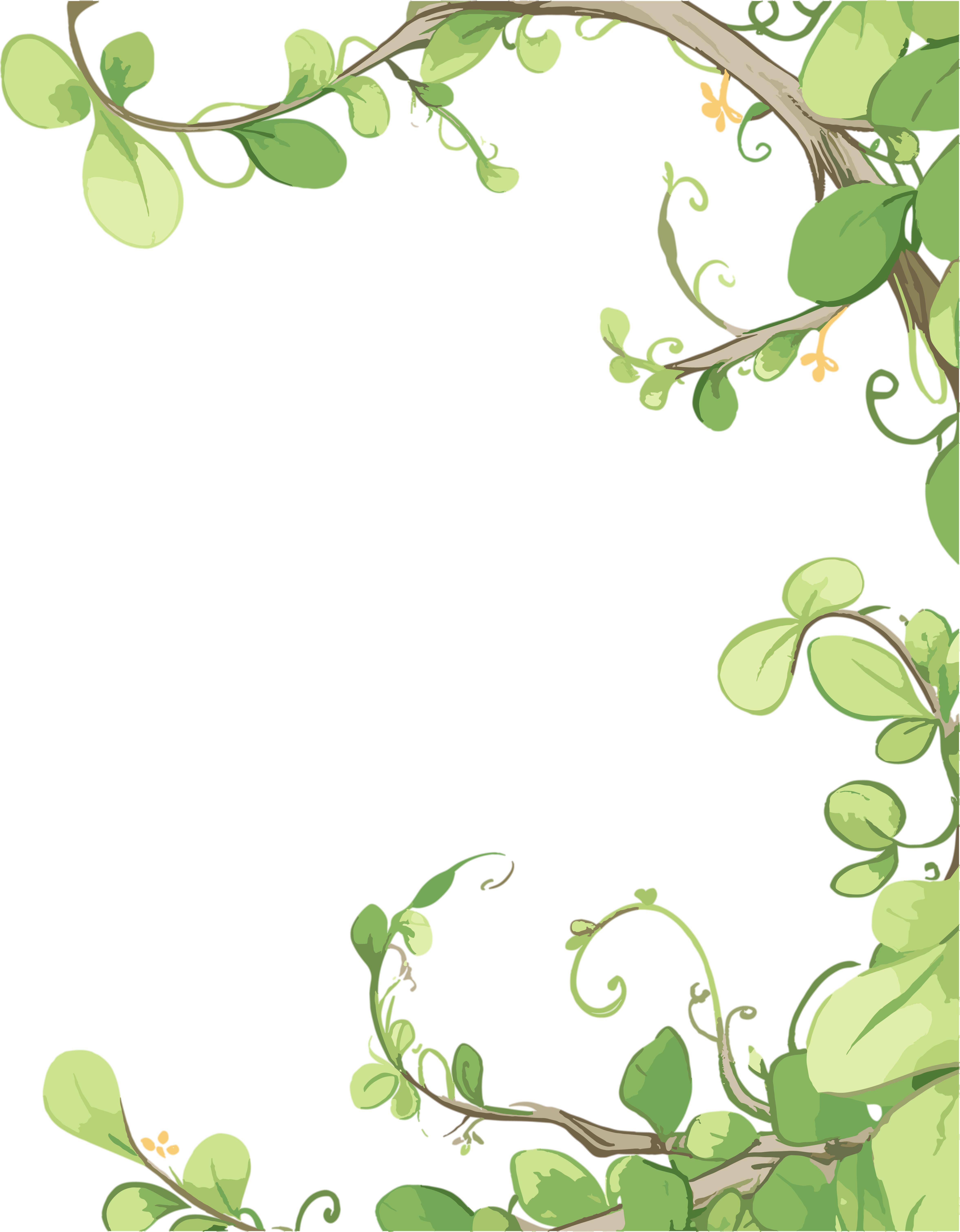 藤蔓边框PNG插画