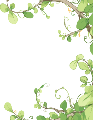 藤蔓边框PNG插画