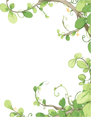 藤蔓边框PNG插画