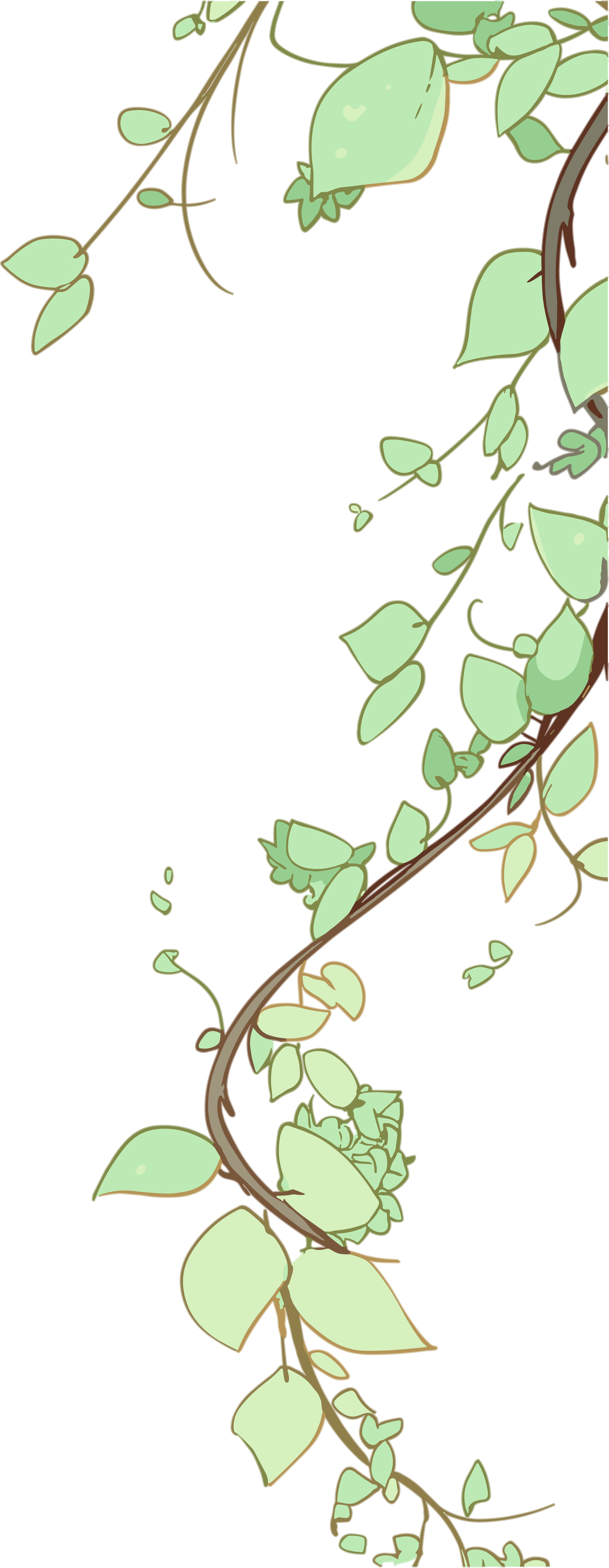 藤蔓边框插画设计素材