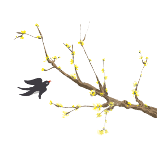 立春时节燕子小黄花插画