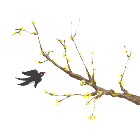 立春时节燕子小黄花插画