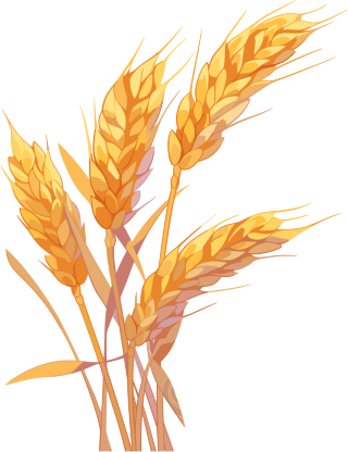 麦穗商业创意插图