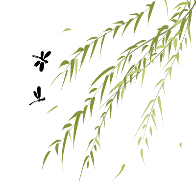 立春节气柳枝蜻蜓手绘素材