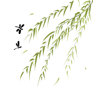 立春节气柳枝蜻蜓手绘素材