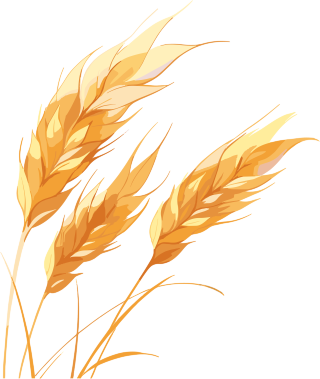 麦穗设计插画