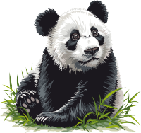 熊猫卡通简单可爱插画