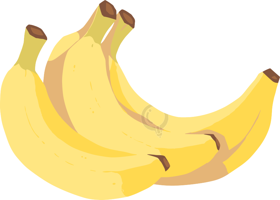 香蕉向量插图