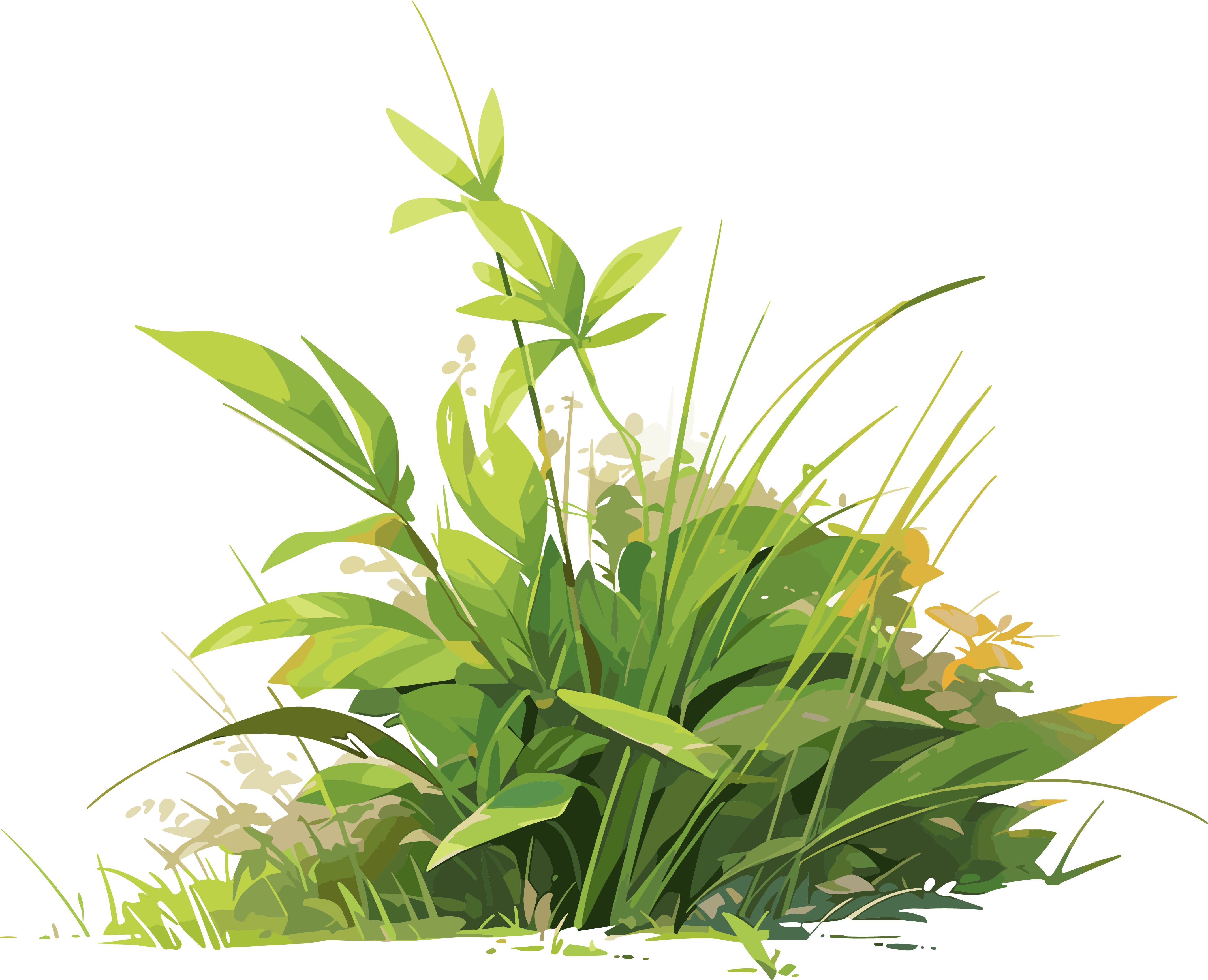 小草卡通插图