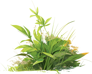 小草卡通插图
