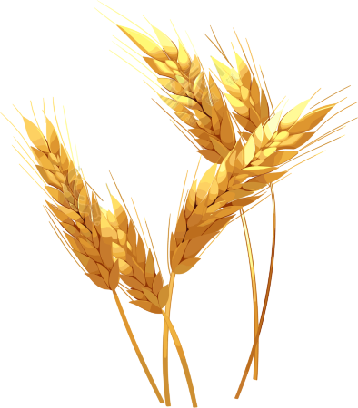 稻子简约扁平插图