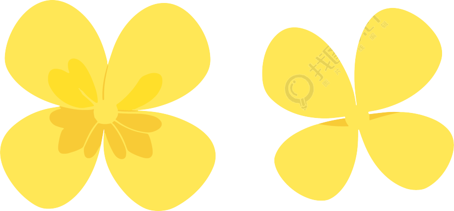 花瓣可商用设计元素