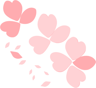 花瓣透明背景插画