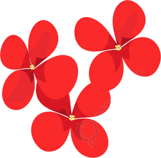 花瓣插画设计素材
