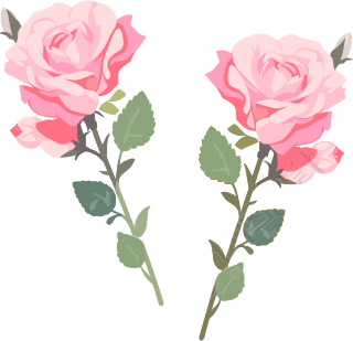 花朵高清质量素材