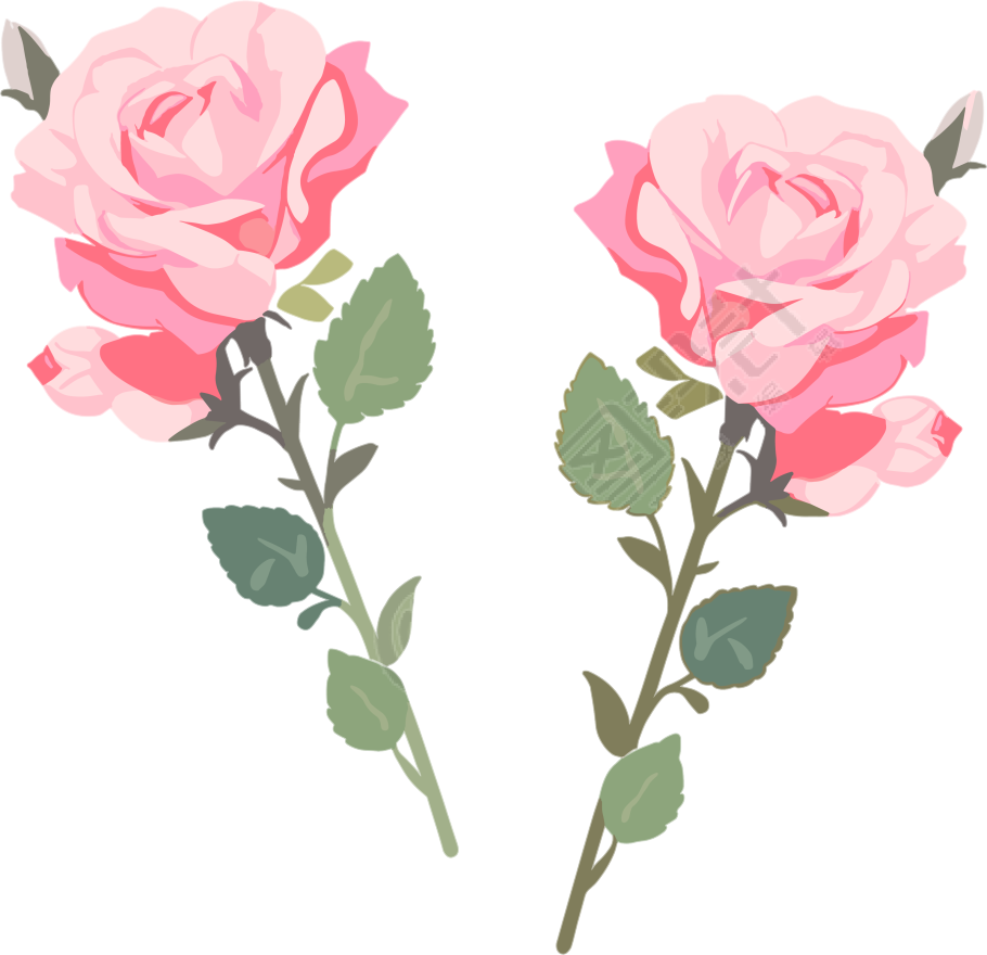 花朵高清质量素材