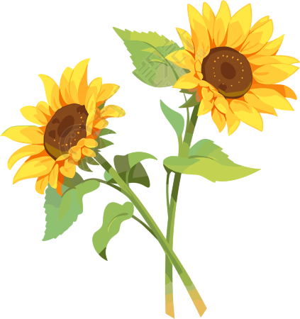 花朵平面插画素材
