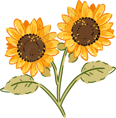 花朵高清质量插画
