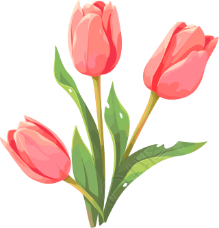 花朵透明背景插画
