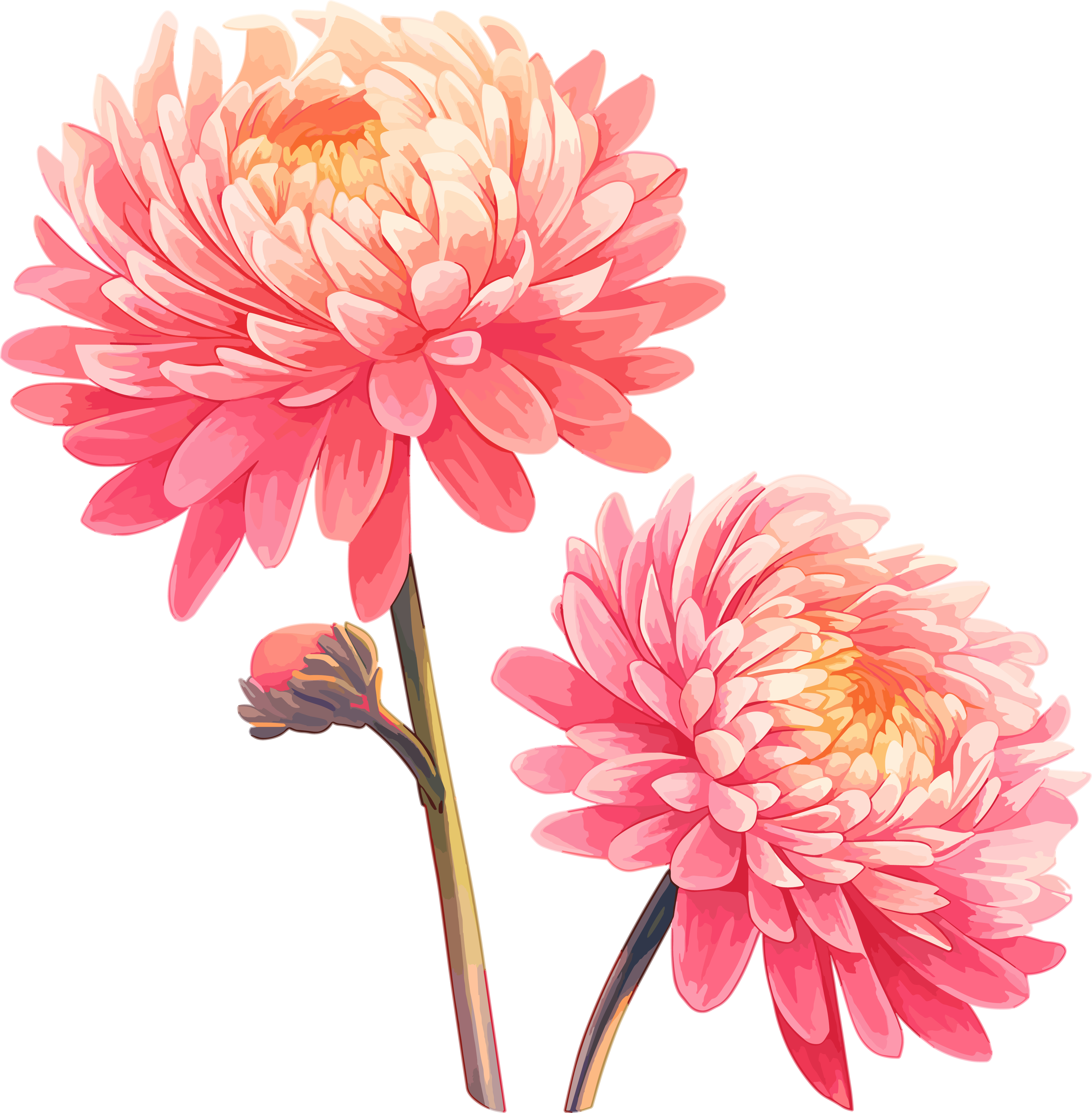 花朵平面插画