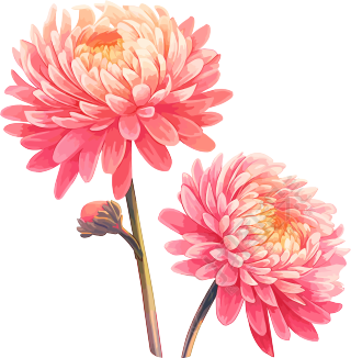 花朵平面插画