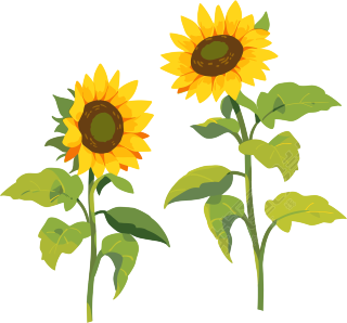 花朵商业设计元素