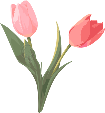 花朵商用设计插图