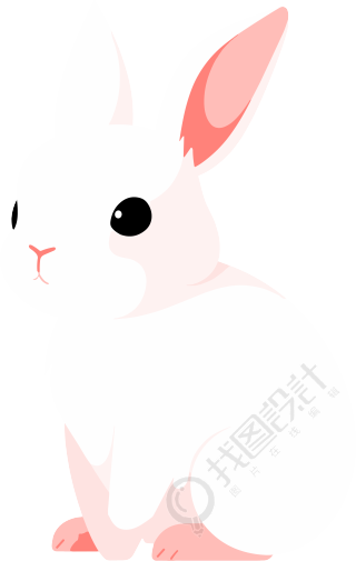 小白兔卡通插图